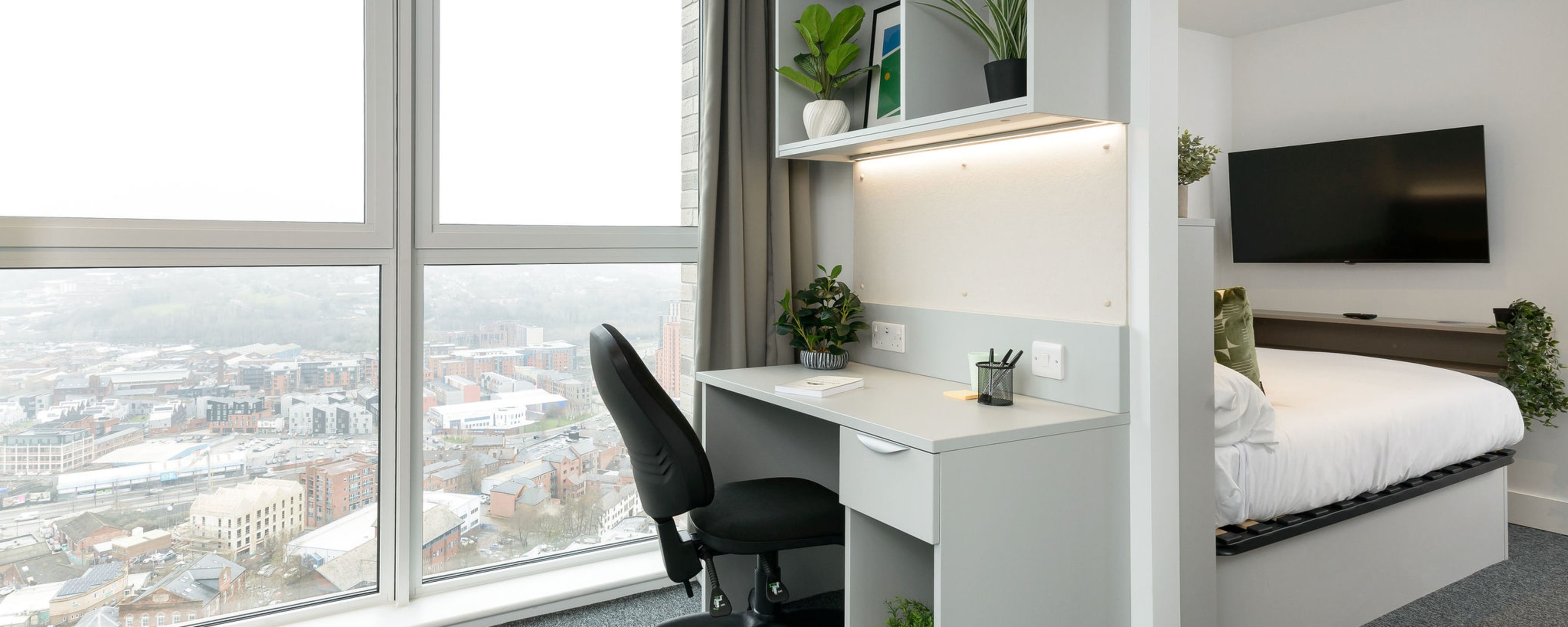 true Sheffield - Sky Studio Plus