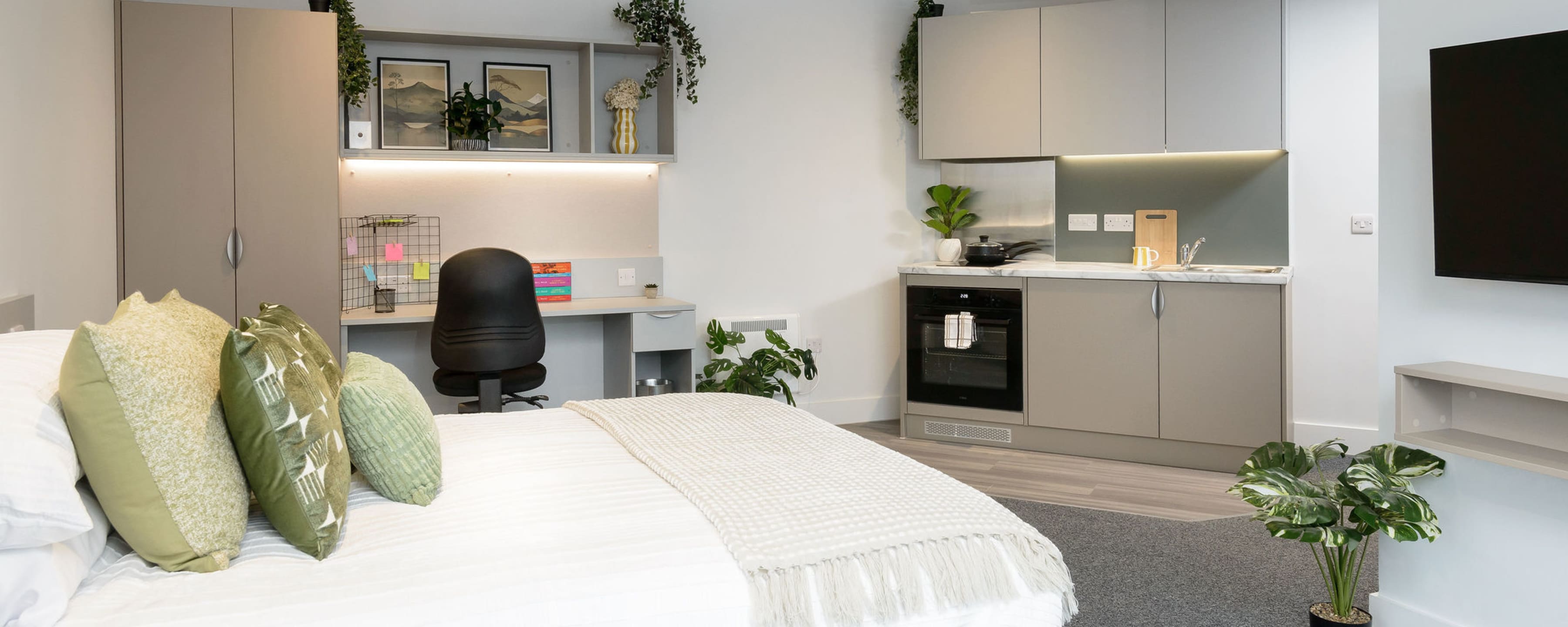 true Sheffield - Superior Studio