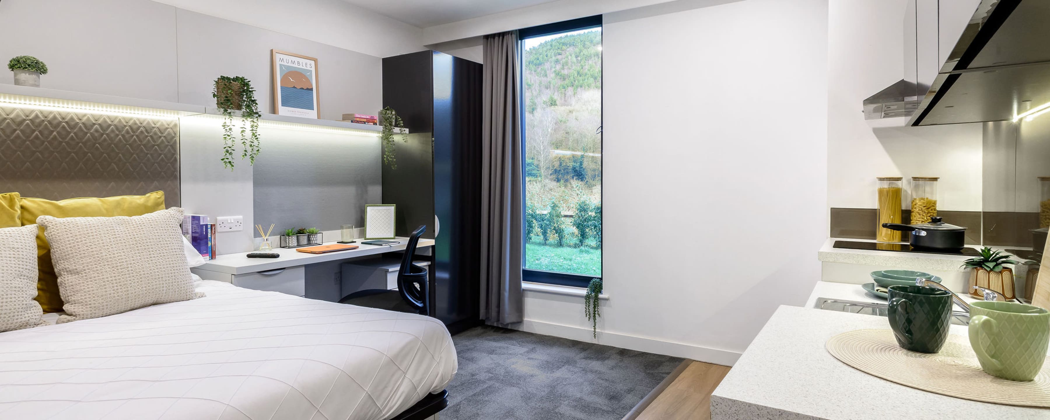 true Swansea - Accessible Studio River View