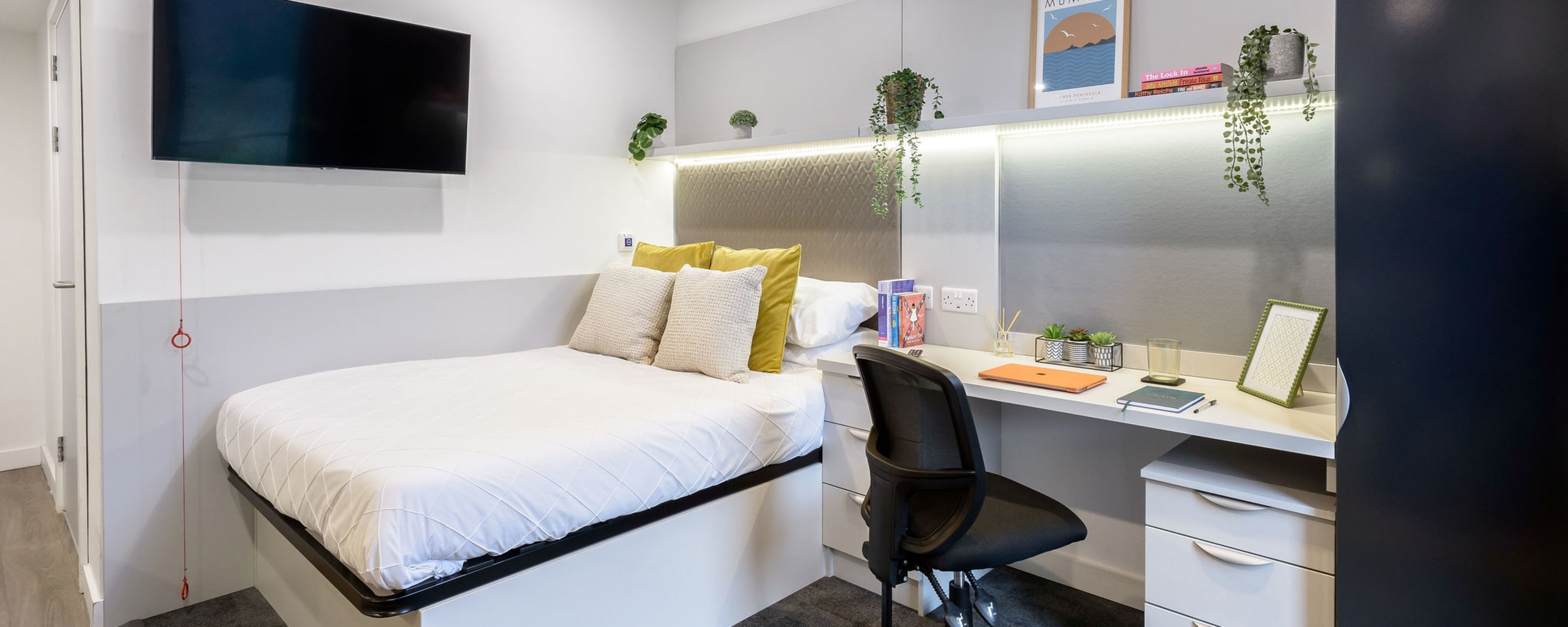 true Swansea - Accessible Studio